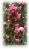 Celebrating Spring at The Holiday Zone